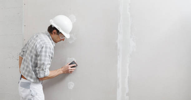 Best Mold Prevention Services  in Lake Linden, MI