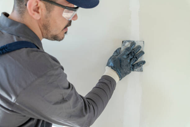 Mold Remediation for Vacation Homes in Lake Linden, MI