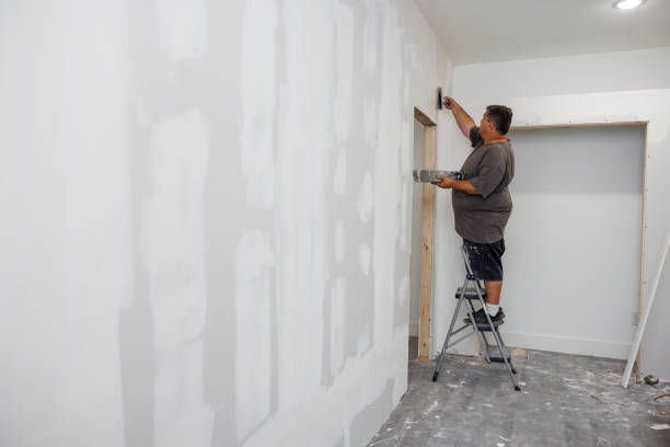 Biohazard Mold Removal in Lake Linden, MI